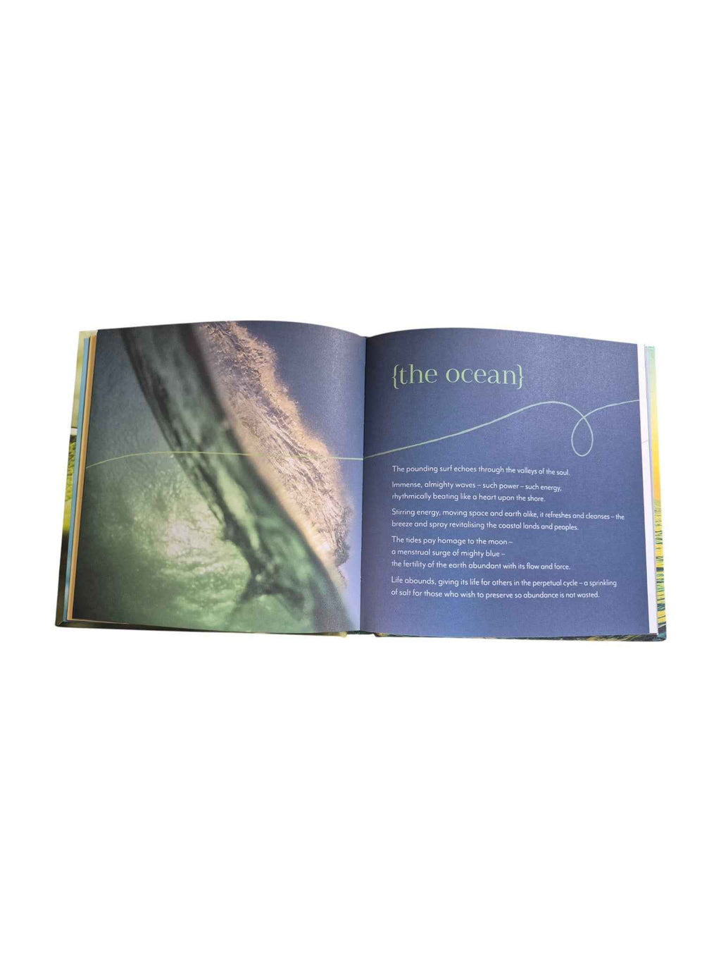Earth Abundance – A Gift from the Earth to You