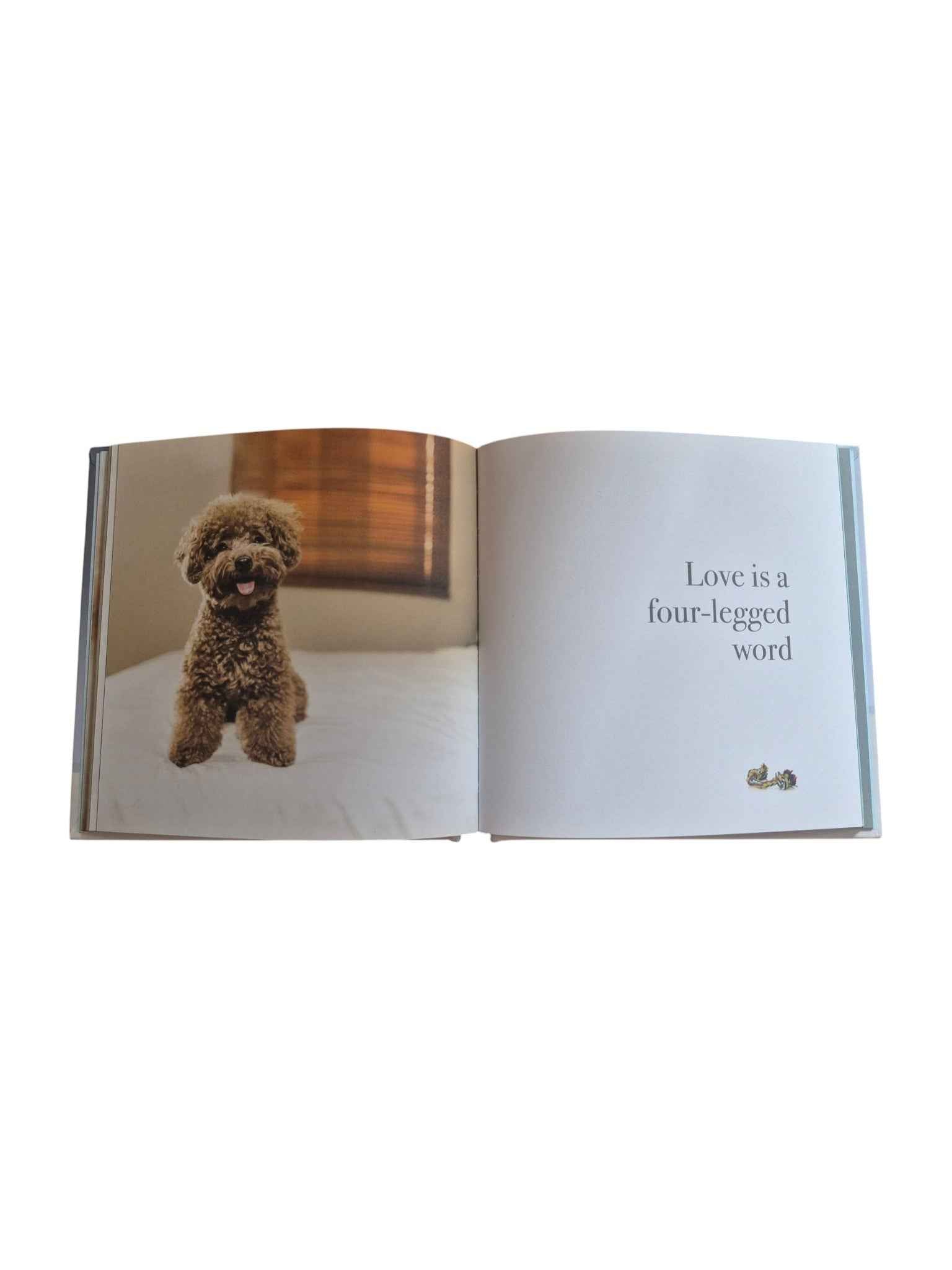 Pupparazzi – Well-heeled Wisdom for Hoomans