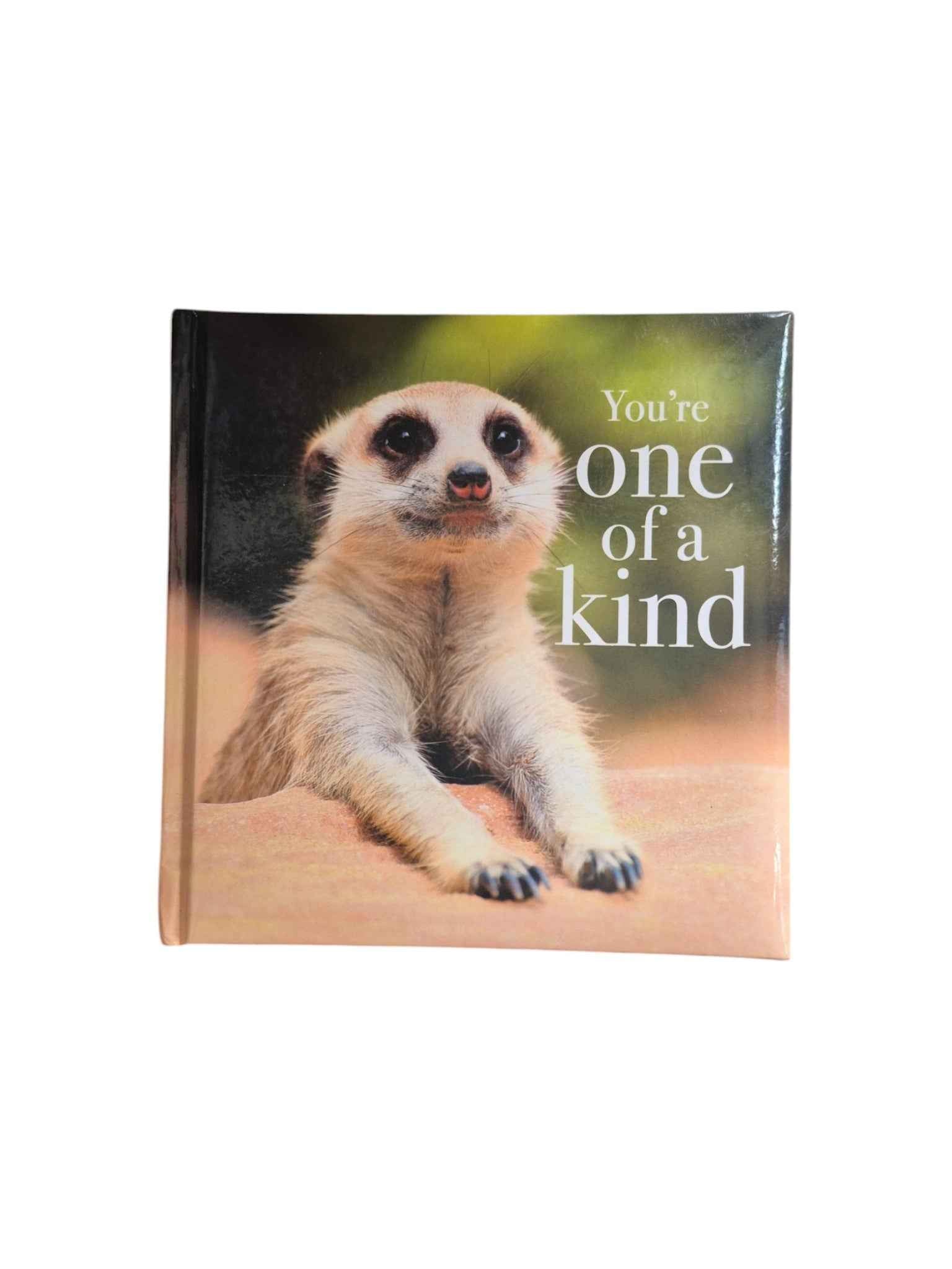 You're One of a Kind