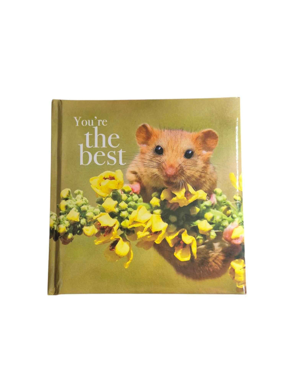 You're the Best