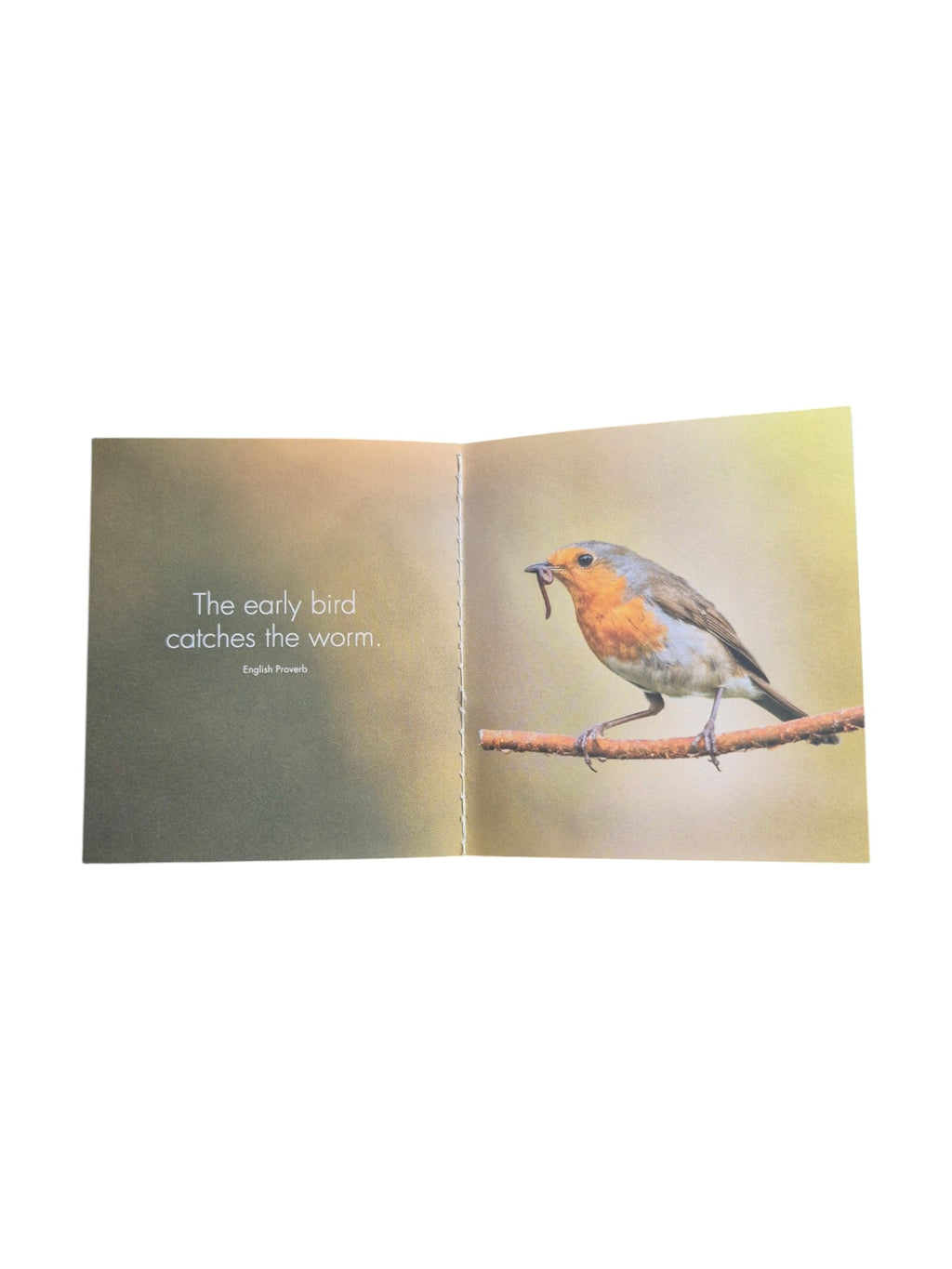 A hardcover book titled "A Little Book of Feathered Friends" by Loren Boyd, featuring illustrations of various birds on the cover. nz