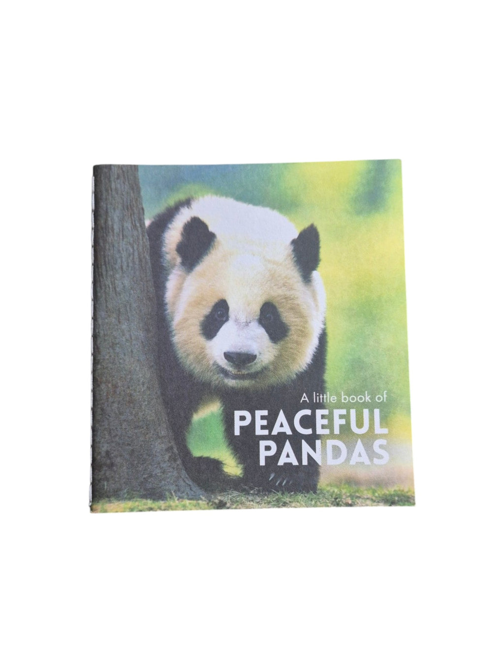 A book titled "A Little Book of Peaceful Pandas" by Loren Boyd, featuring panda illustrations on the cover. nz