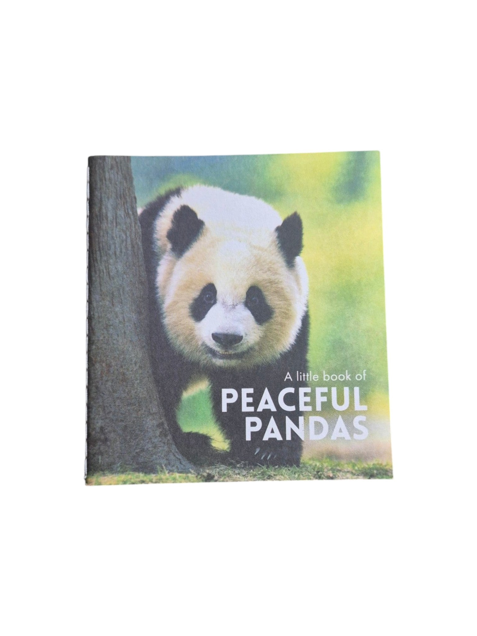 A book titled "A Little Book of Peaceful Pandas" by Loren Boyd, featuring panda illustrations on the cover. nz