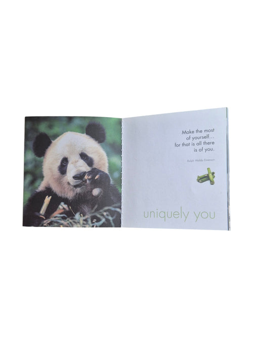 A book titled "A Little Book of Peaceful Pandas" by Loren Boyd, featuring a panda illustration on the cover. nz