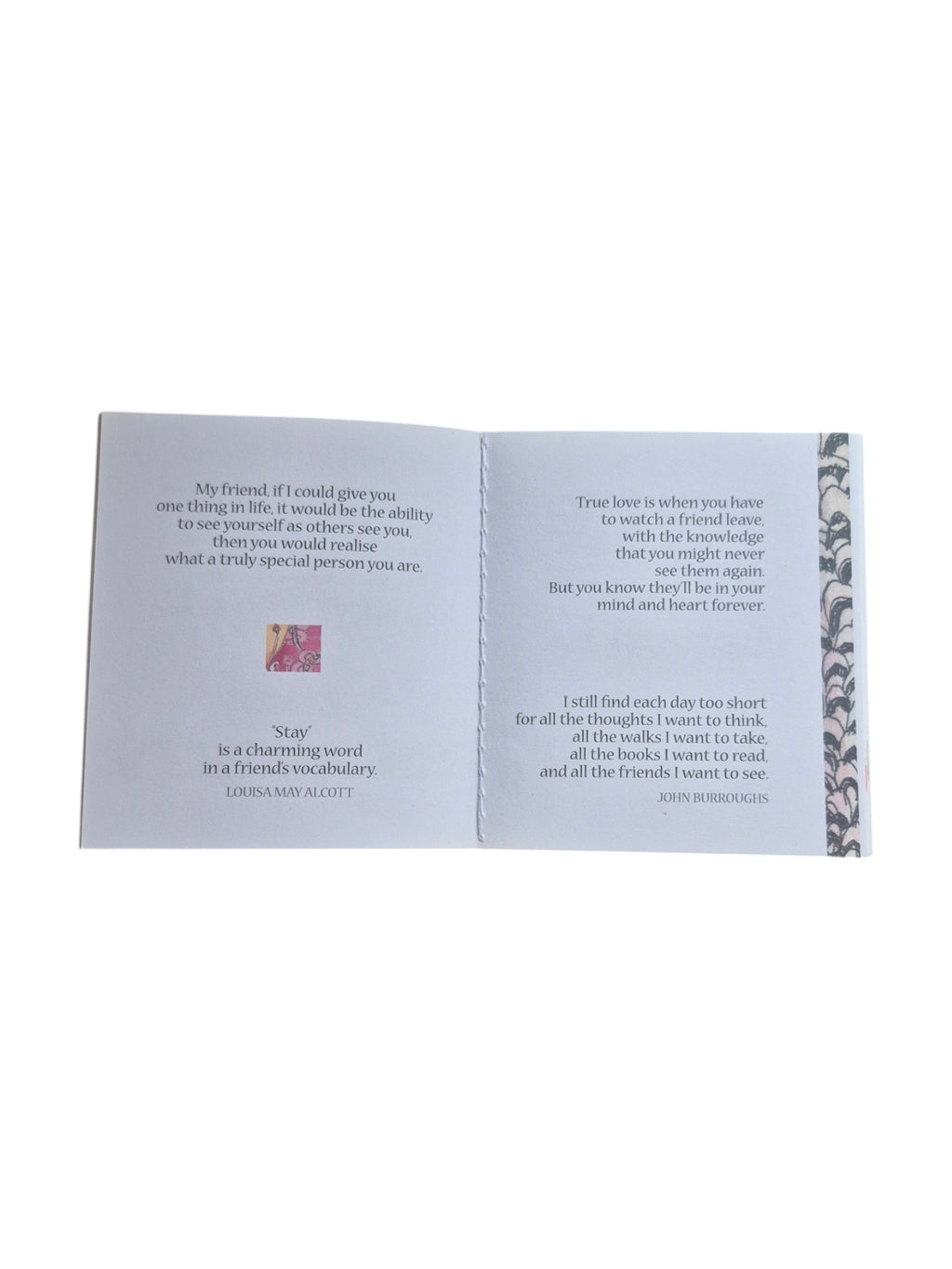 A Little Book of Friends by Loren Boyd, a charming paperback book featuring colorful illustrations on the cover. nz