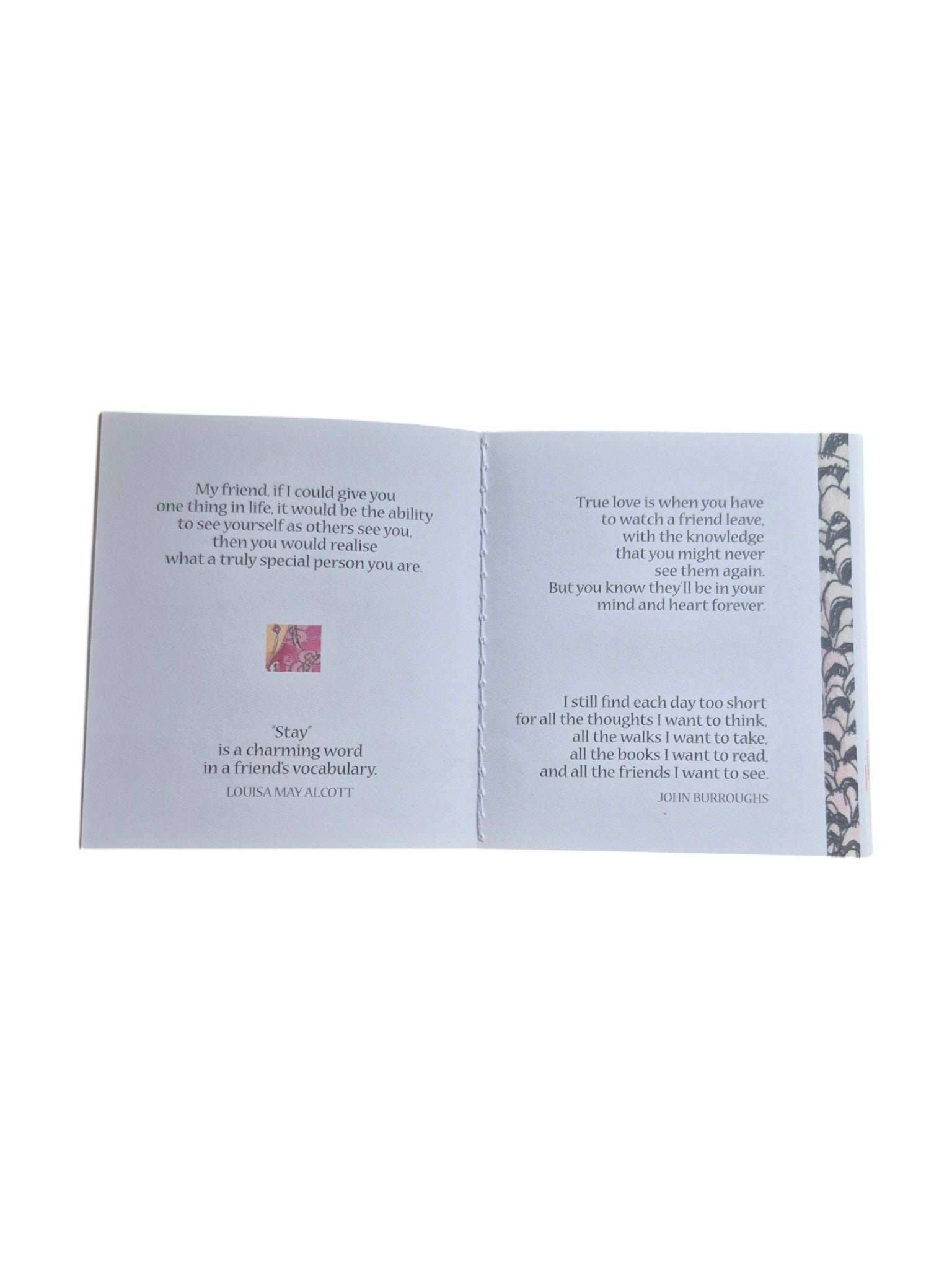 A Little Book of Friends by Loren Boyd, a charming paperback book featuring colorful illustrations on the cover. nz