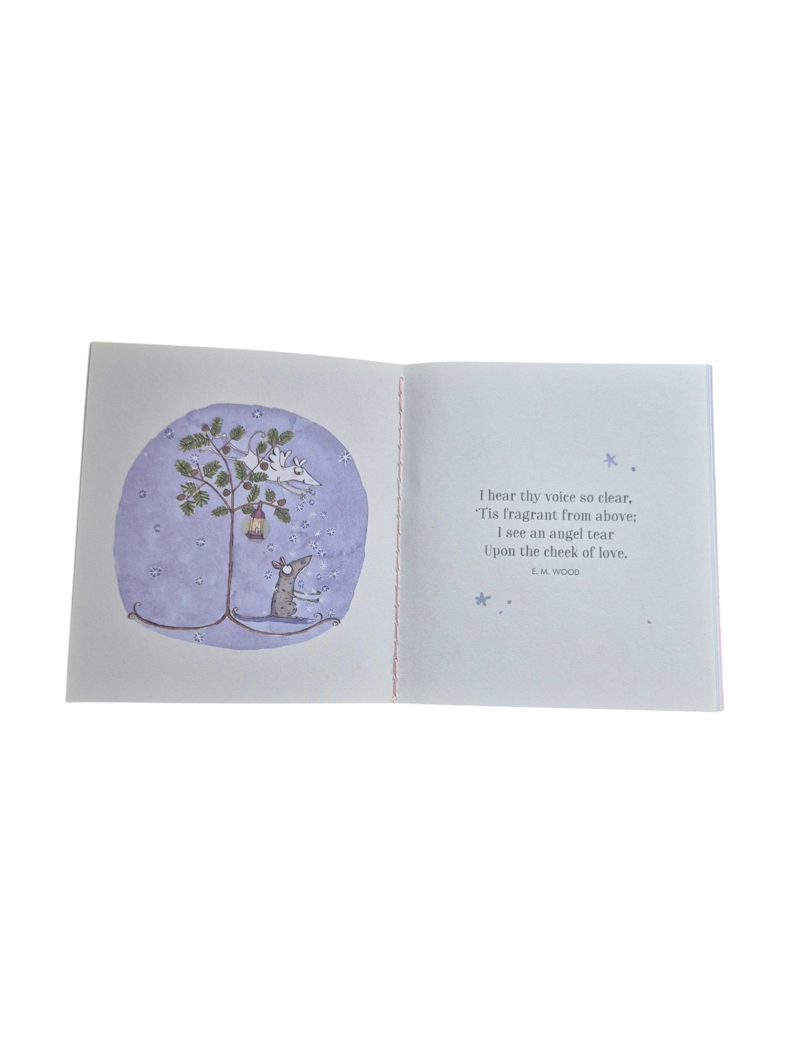 A Little Book of Angels by Kate Knapp, a charming illustrated book featuring angel-themed artwork and stories. nz