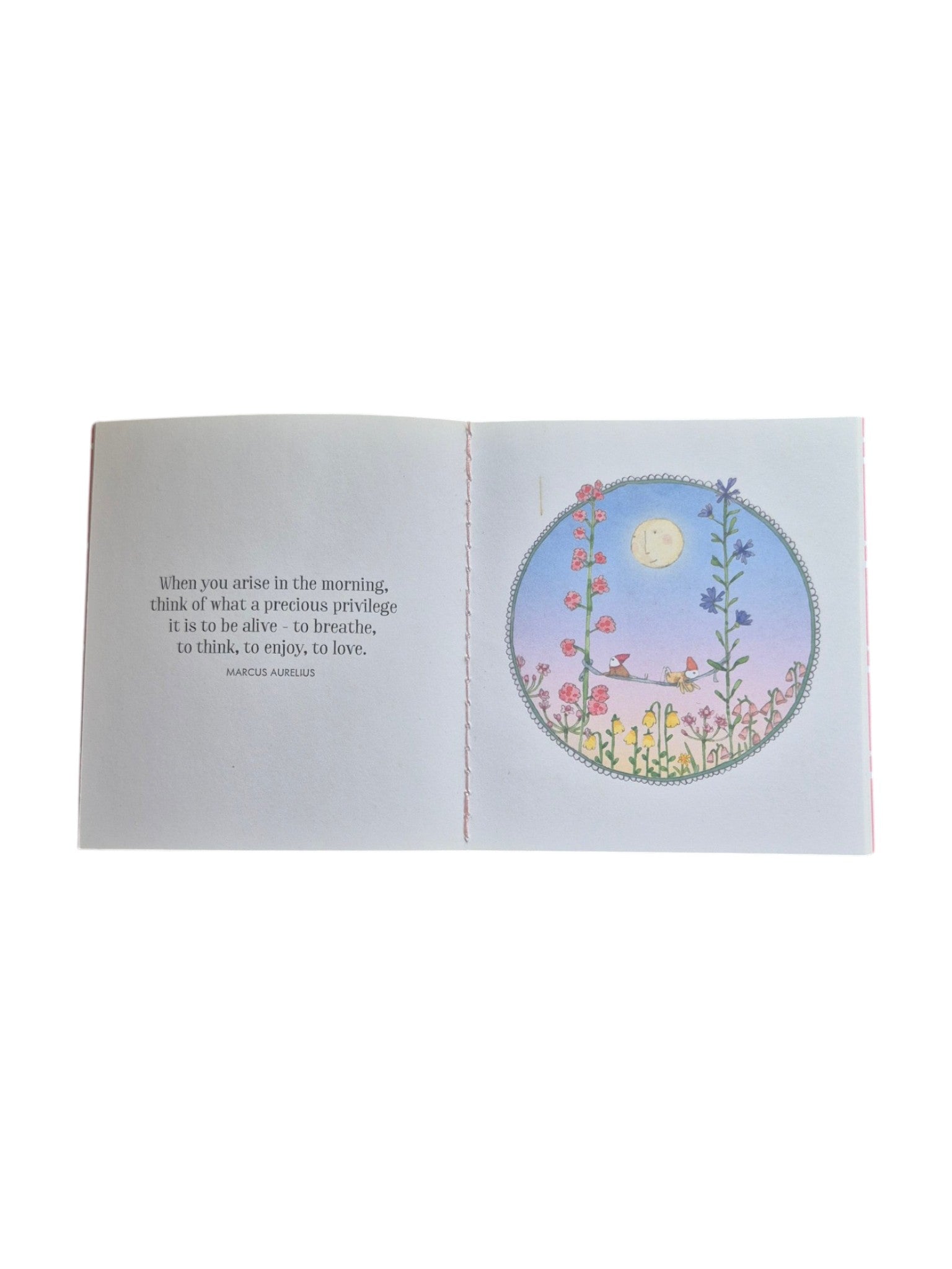 A hardcover copy of A Little Book of Gratitude by Kate Knapp featuring colorful illustrated cover art. nz