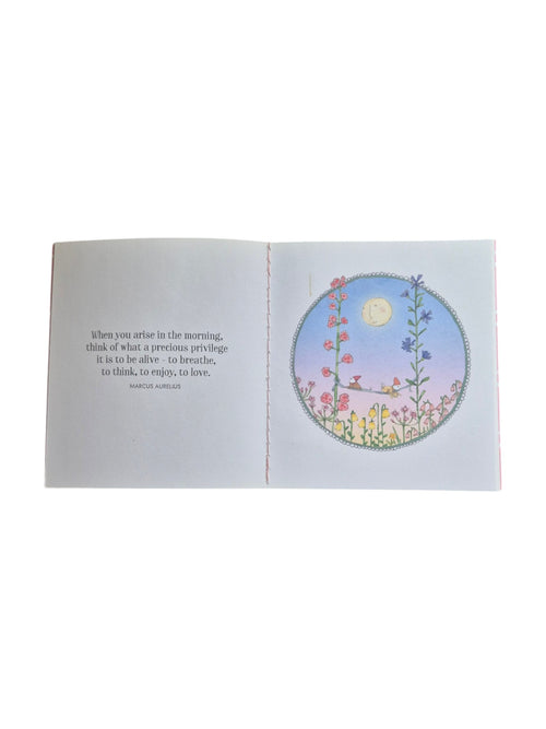 A hardcover copy of A Little Book of Gratitude by Kate Knapp featuring colorful illustrated cover art. nz