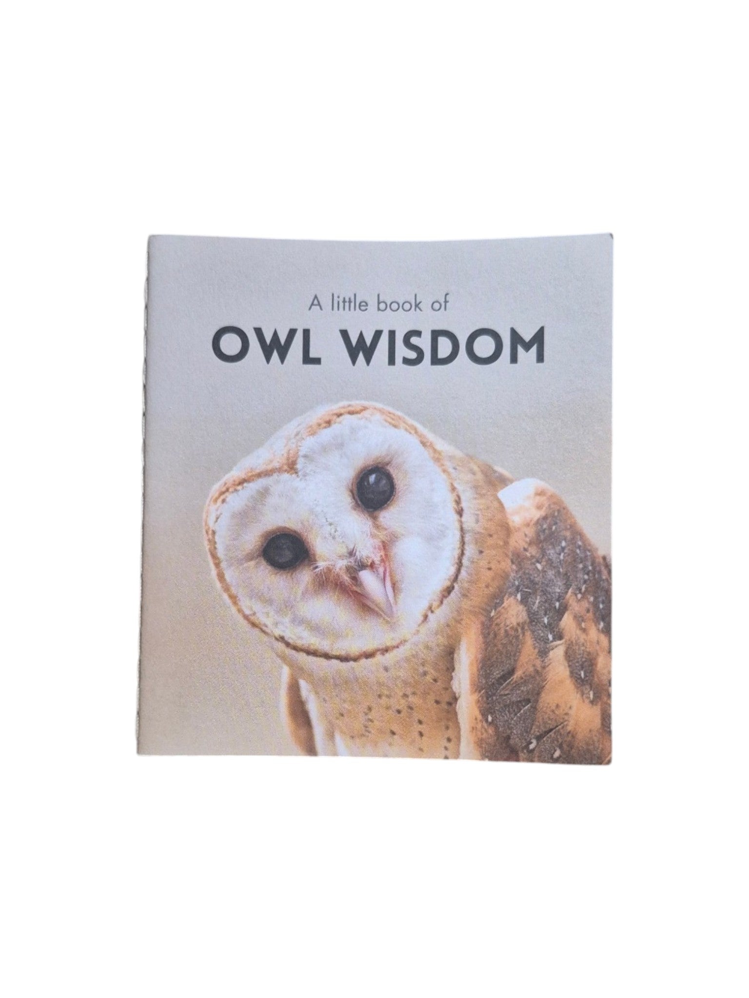 A hardcover book titled "A Little Book of Owl Wisdom" by Loren Boyd, featuring an owl illustration on the cover. nz