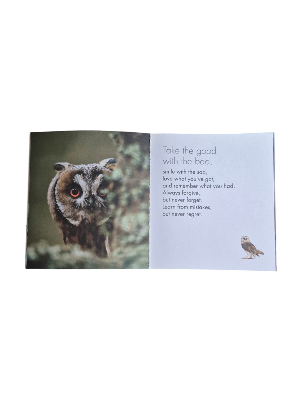 A hardcover book titled "A Little Book of Owl Wisdom" by Loren Boyd, featuring an illustrated owl on the cover. nz
