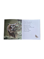 A hardcover book titled "A Little Book of Owl Wisdom" by Loren Boyd, featuring an illustrated owl on the cover. nz