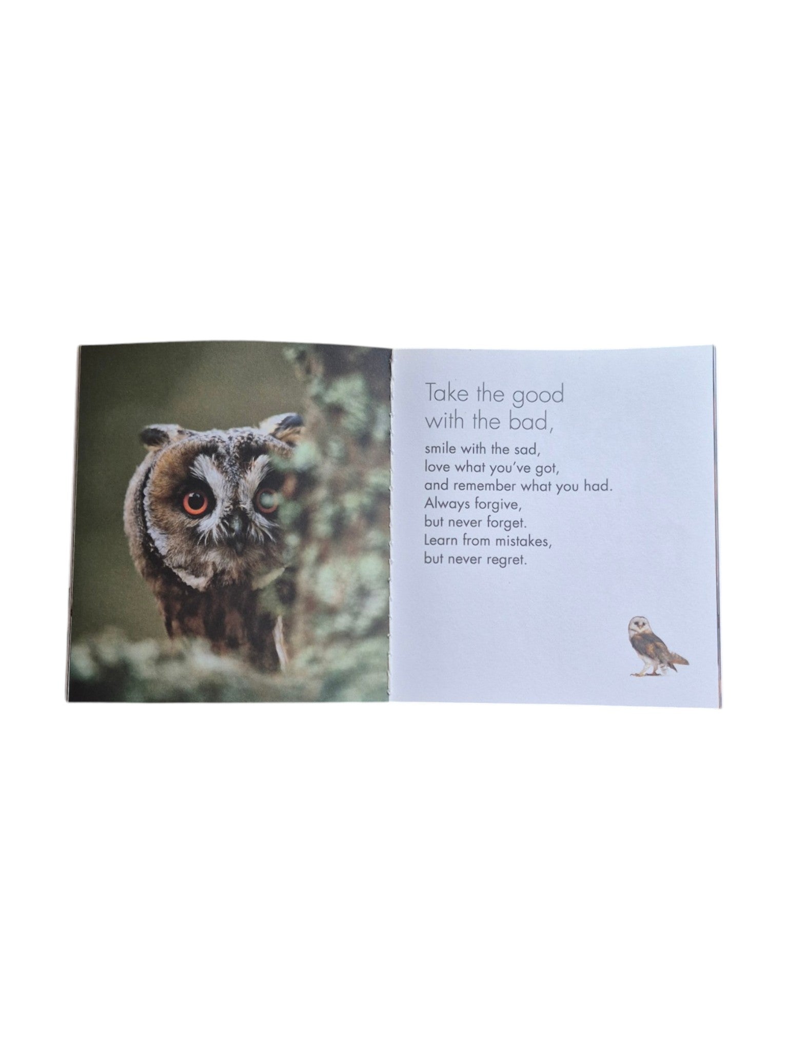 A hardcover book titled "A Little Book of Owl Wisdom" by Loren Boyd, featuring an illustrated owl on the cover. nz