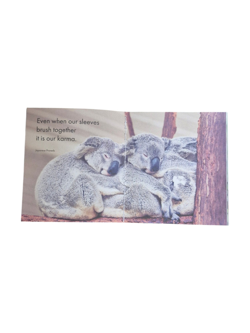 A Little Book of Koala Karma by Loren Boyd, small book with colorful cover featuring a cute koala illustration and playful design. nz