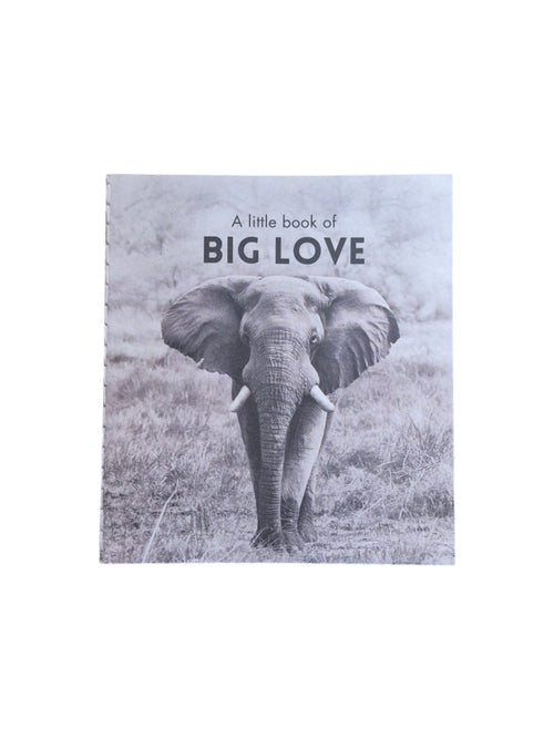 A Little Book of Big Love by Loren Boyd, a hardcover book with a colorful cover featuring hearts and uplifting design elements. nz