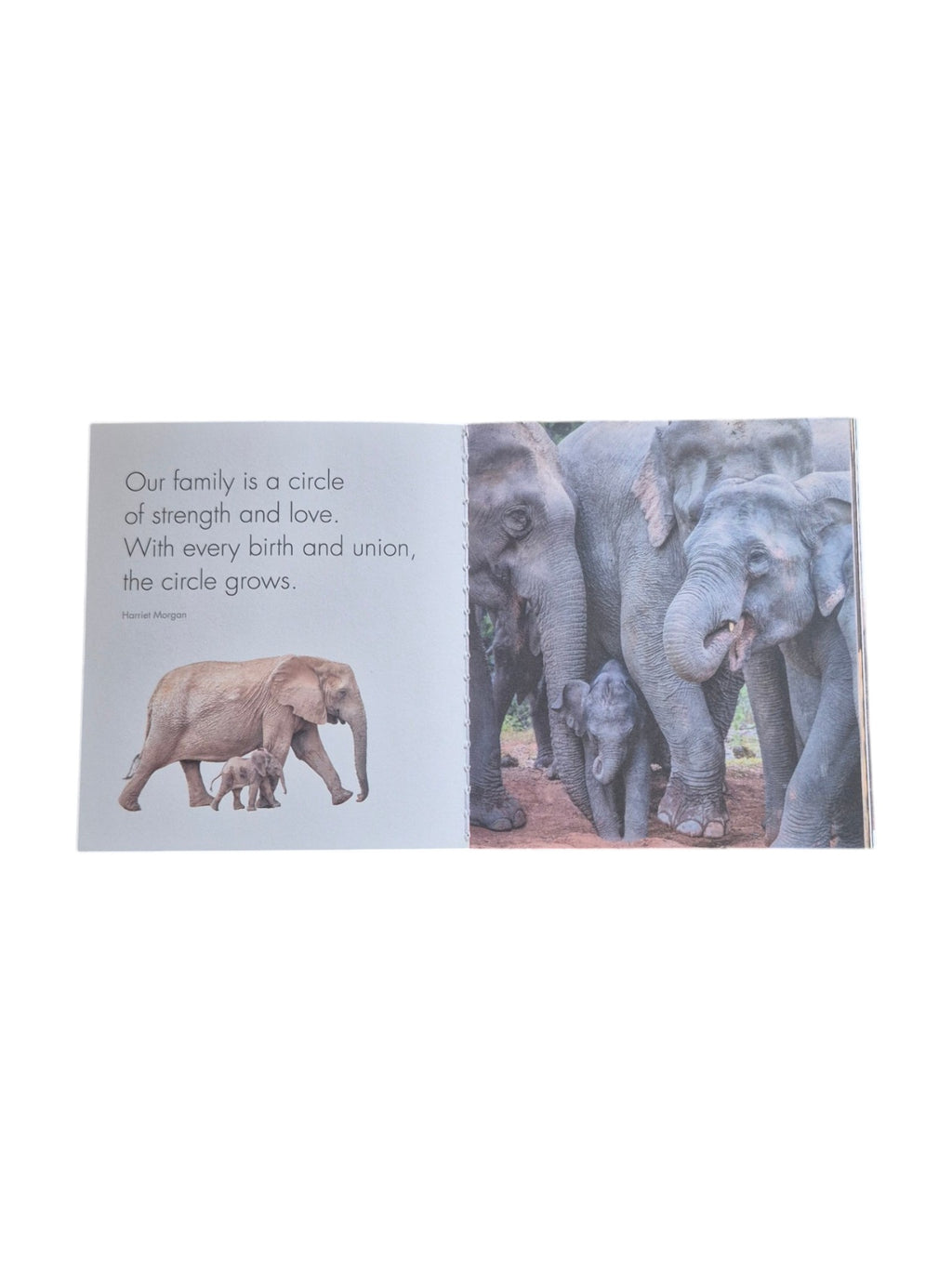A Little Book of Big Love by Loren Boyd, a paperback book featuring a colorful cover with heart illustrations and inspiring quotes. nz