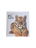 A hardcover copy of "A Little Book of Big Cats" by Loren Boyd featuring illustrations of various big cats on the cover. nz