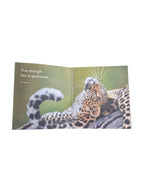 A hardcover book titled "A Little Book of Big Cats" by Loren Boyd, featuring illustrations of various big cats on the cover. nz