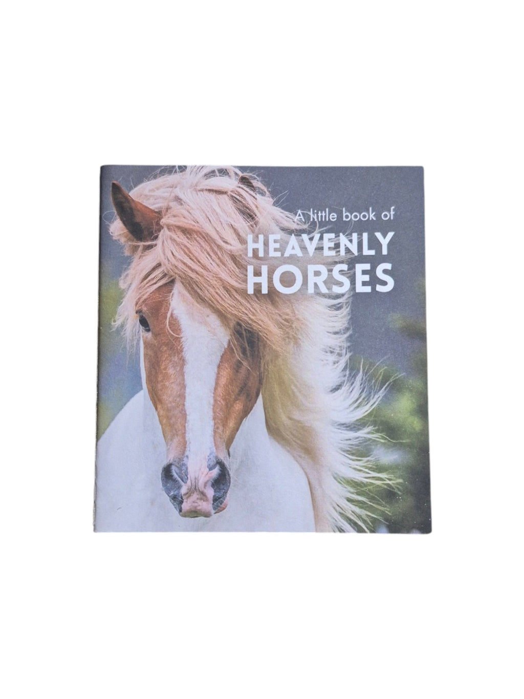 Hardcover book titled "A Little Book of Heavenly Horses" by Loren Boyd, showcasing whimsical horse illustrations on the cover. nz