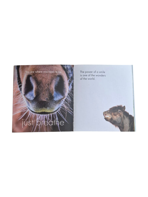 A hardcover book titled "A Little Book of Heavenly Horses" by Loren Boyd, featuring celestial horse illustrations on the cover. nz
