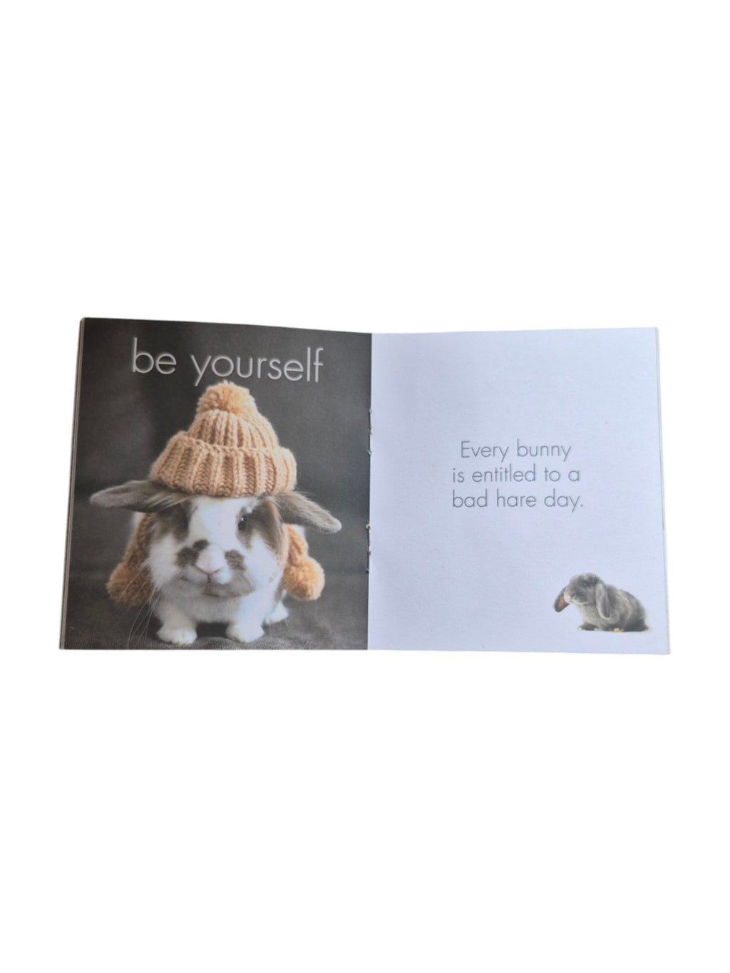 A Little Book of Bunny Zen by Loren Boyd, a compact book featuring calming bunny illustrations and mindfulness tips. nz