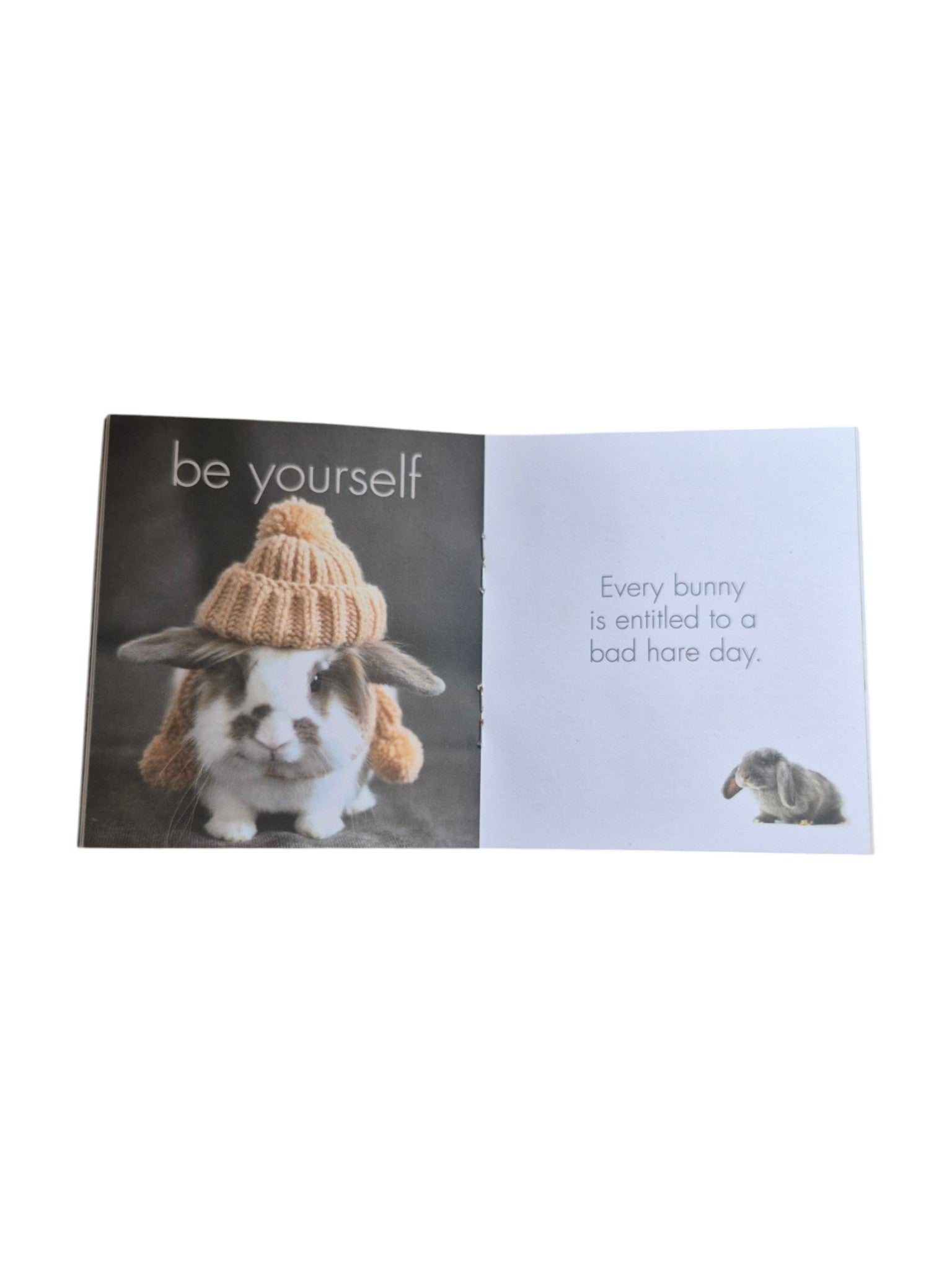 A Little Book of Bunny Zen by Loren Boyd, a compact book featuring calming bunny illustrations and mindfulness tips. nz