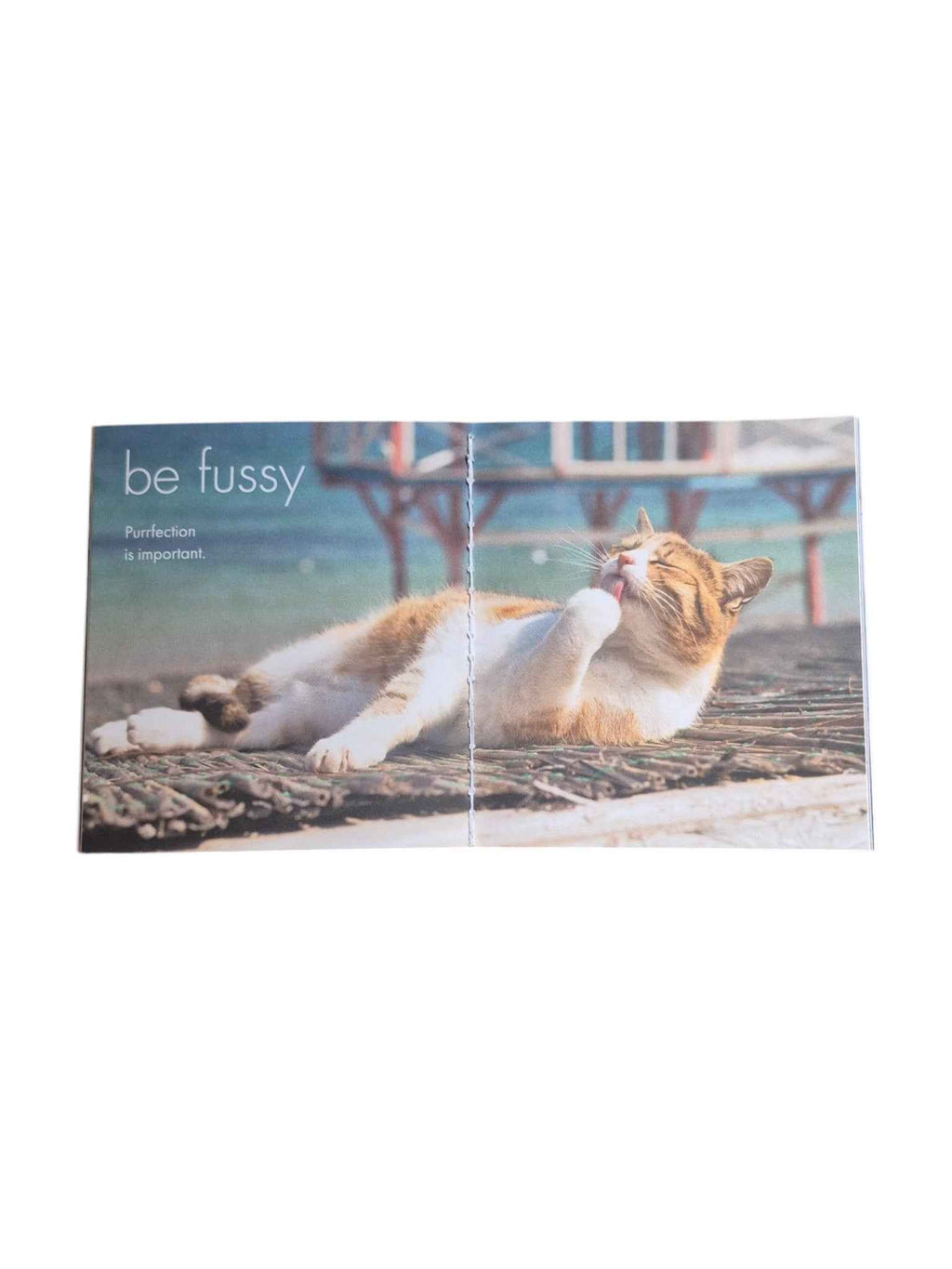 A Little Book of Purrfection