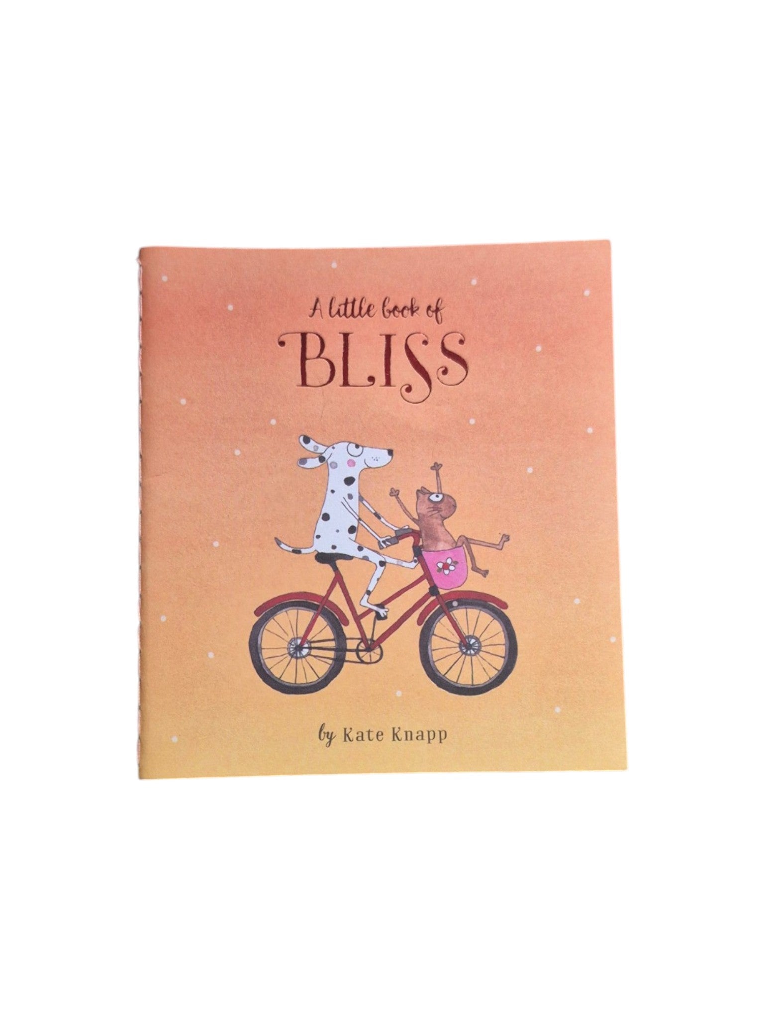 A colorful illustrated book titled "A Little Book of Bliss" by Kate Knapp, featuring whimsical artwork on the cover. nz