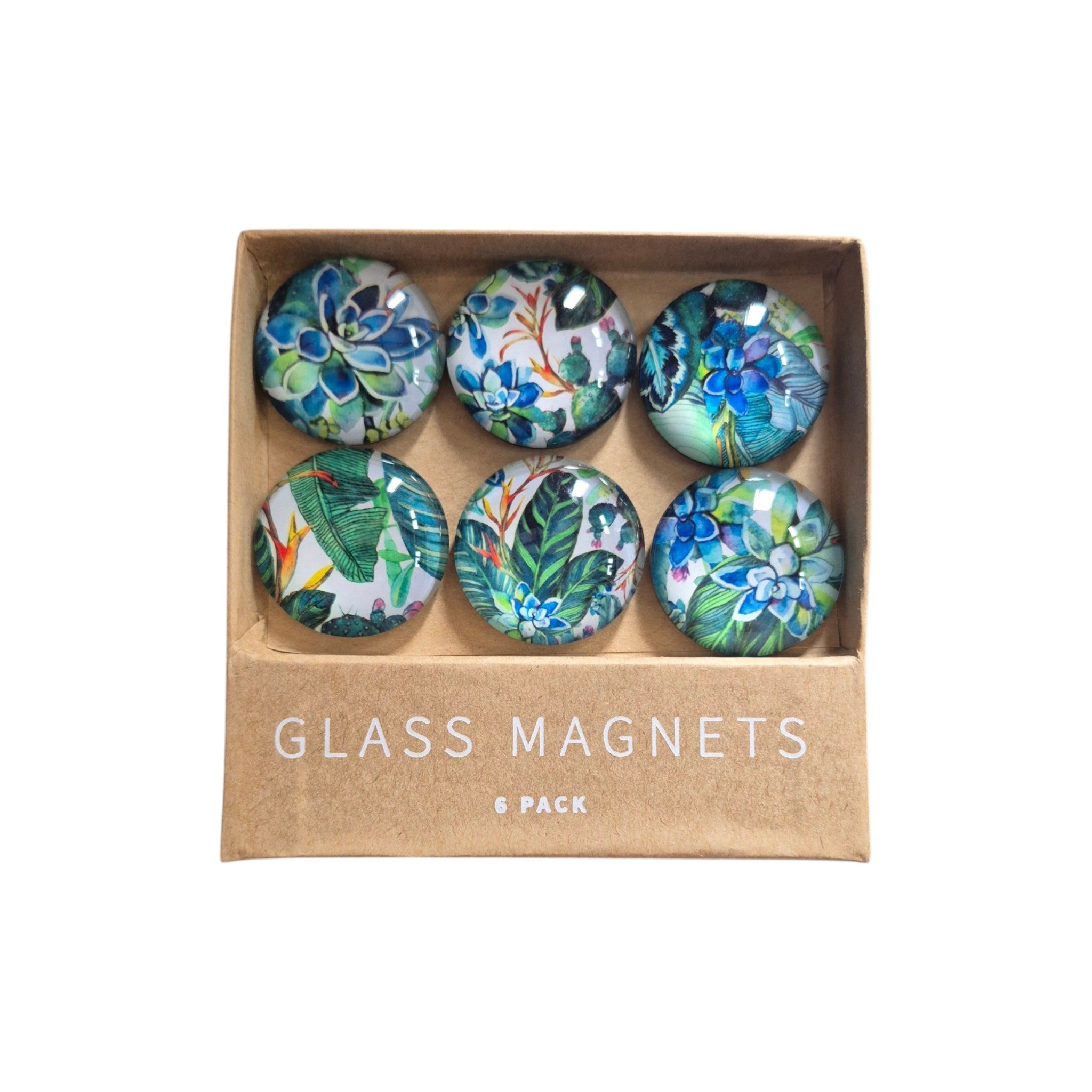 Tropical Succulent & Botanical Glass Dome Magnets - Set of 6 LaVida nz