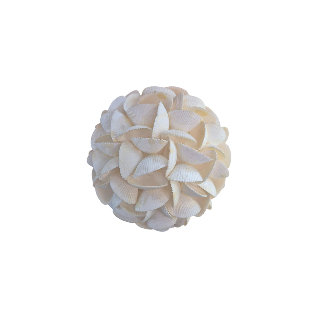 Large Natural Shell Ball White Seashells - 15cm Le Forge nz