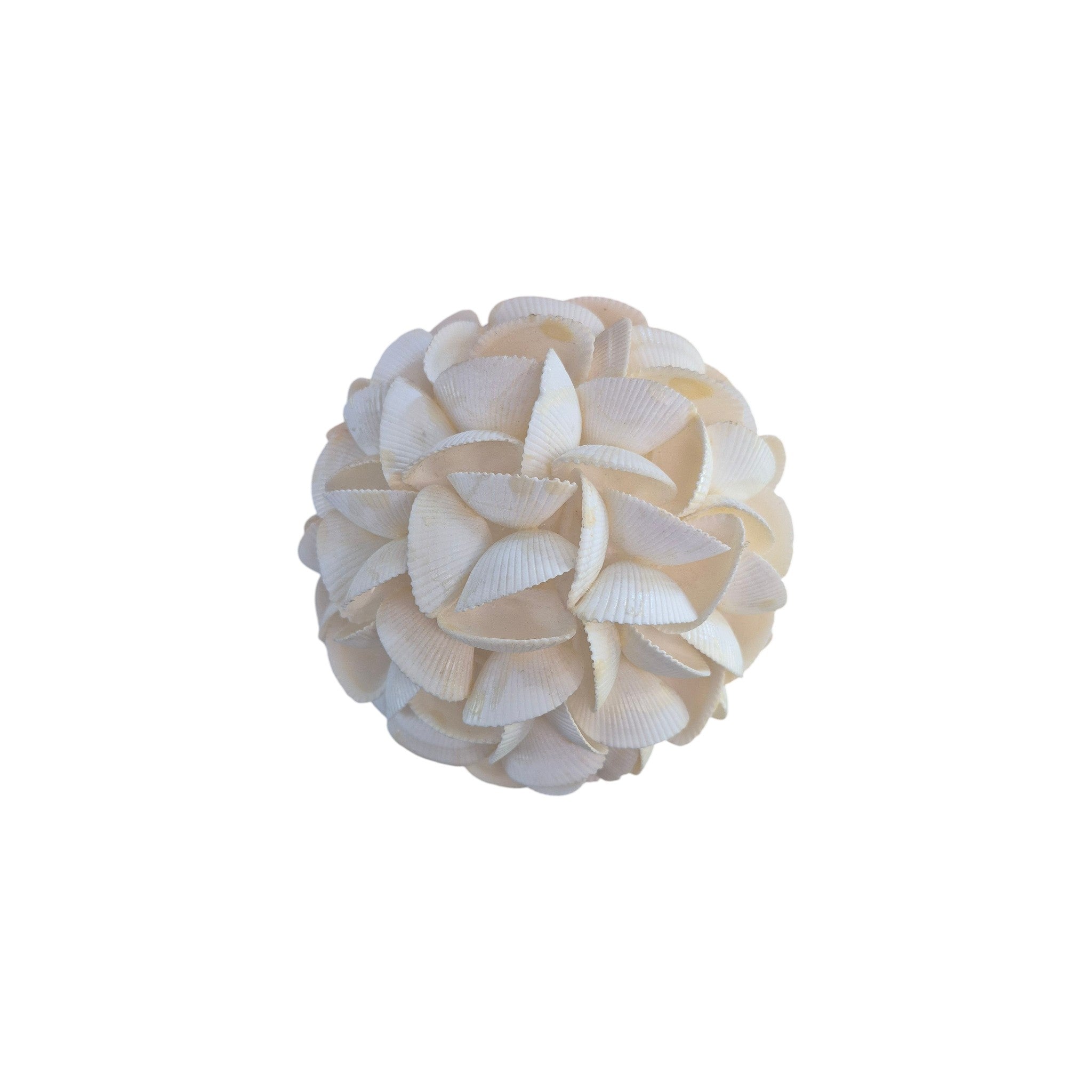 Large Natural Shell Ball White Seashells - 15cm Le Forge nz