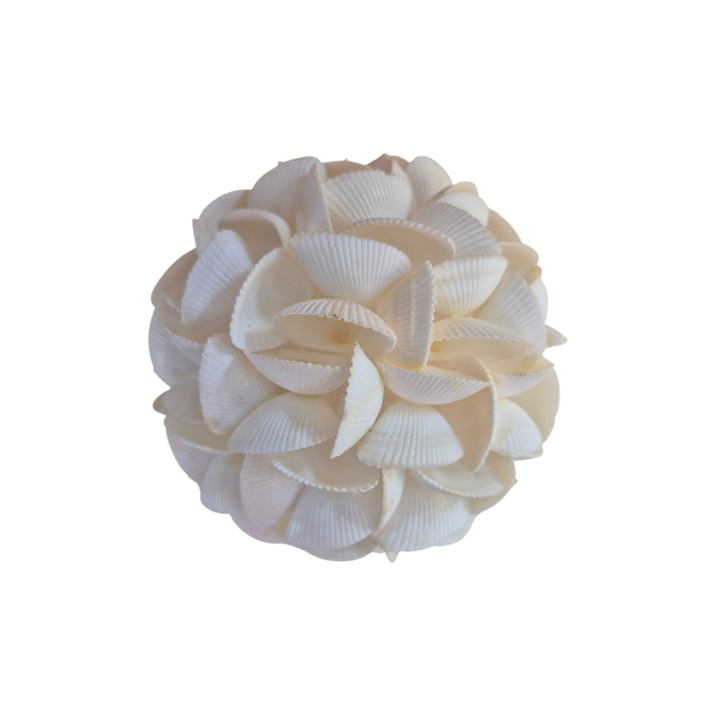 Large Natural Shell Ball White Seashells - 15cm Le Forge nz