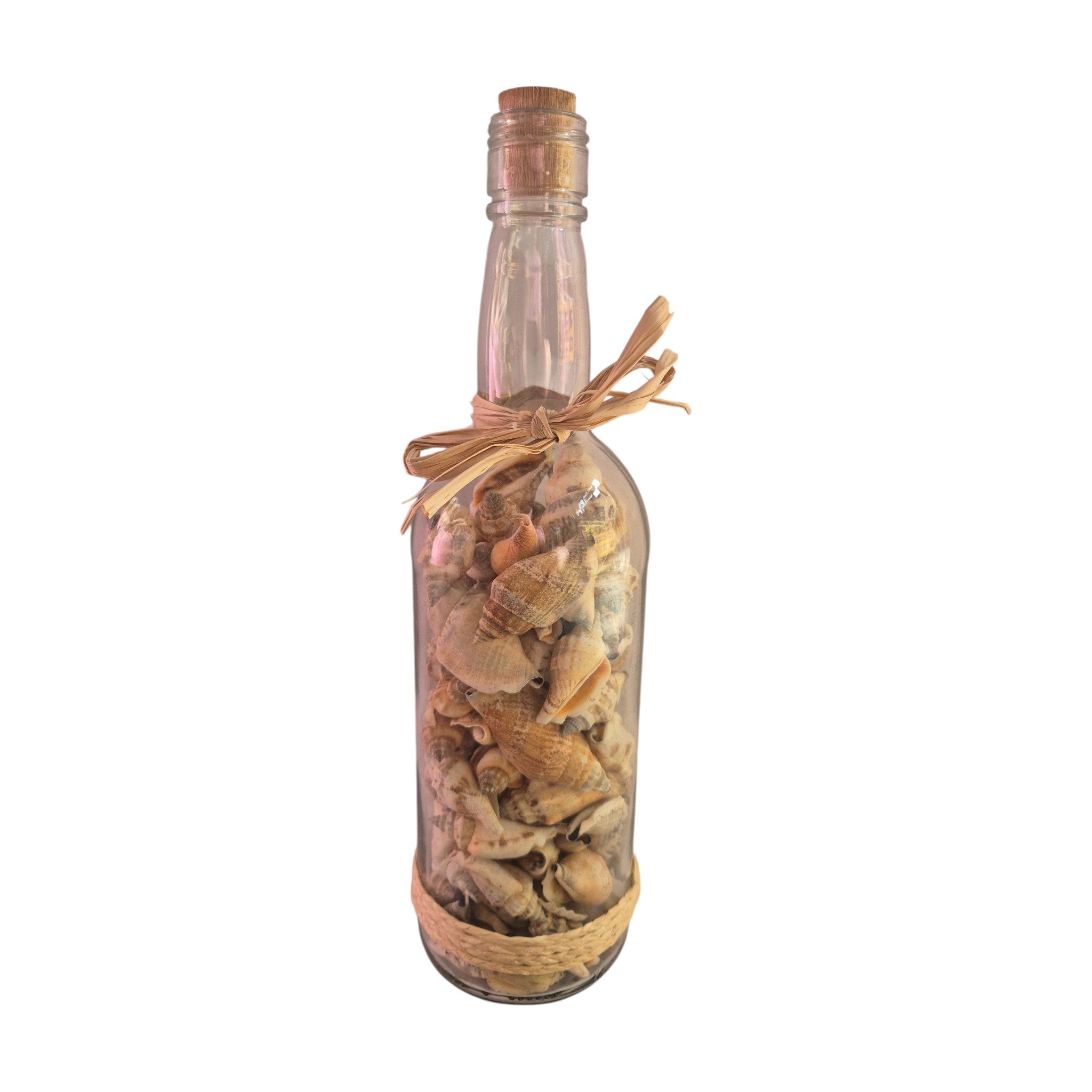 Large glass bottle filled with natural mixed seashells with Cork Stopper nz