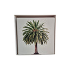 Green Palm Tree Ceramic Coasters - 4 Pack nz