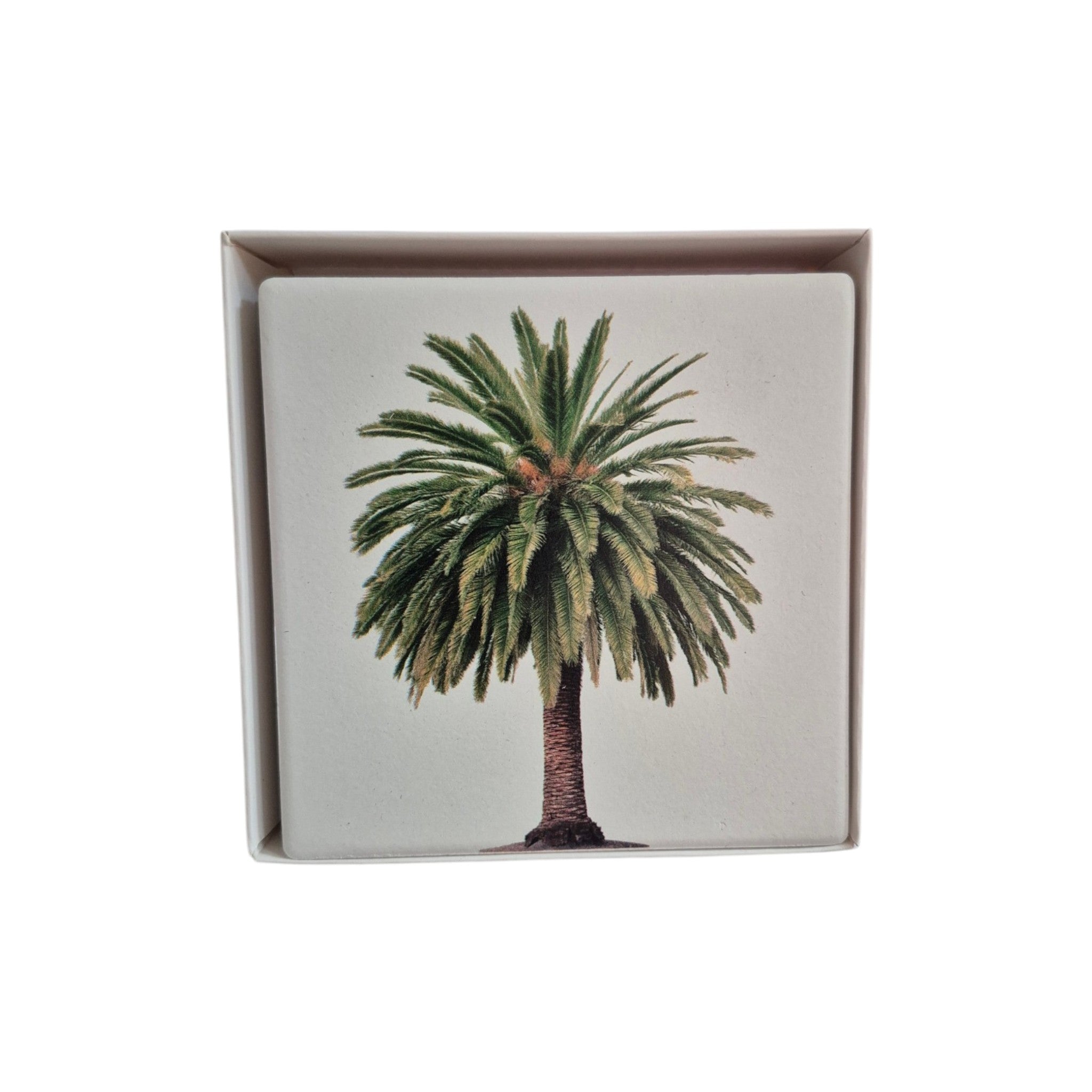 Green Palm Tree Ceramic Coasters - 4 Pack nz