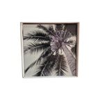 Set of four black and white palm tree coasters by Loren Boyd, featuring tropical design perfect for protecting surfaces. nz