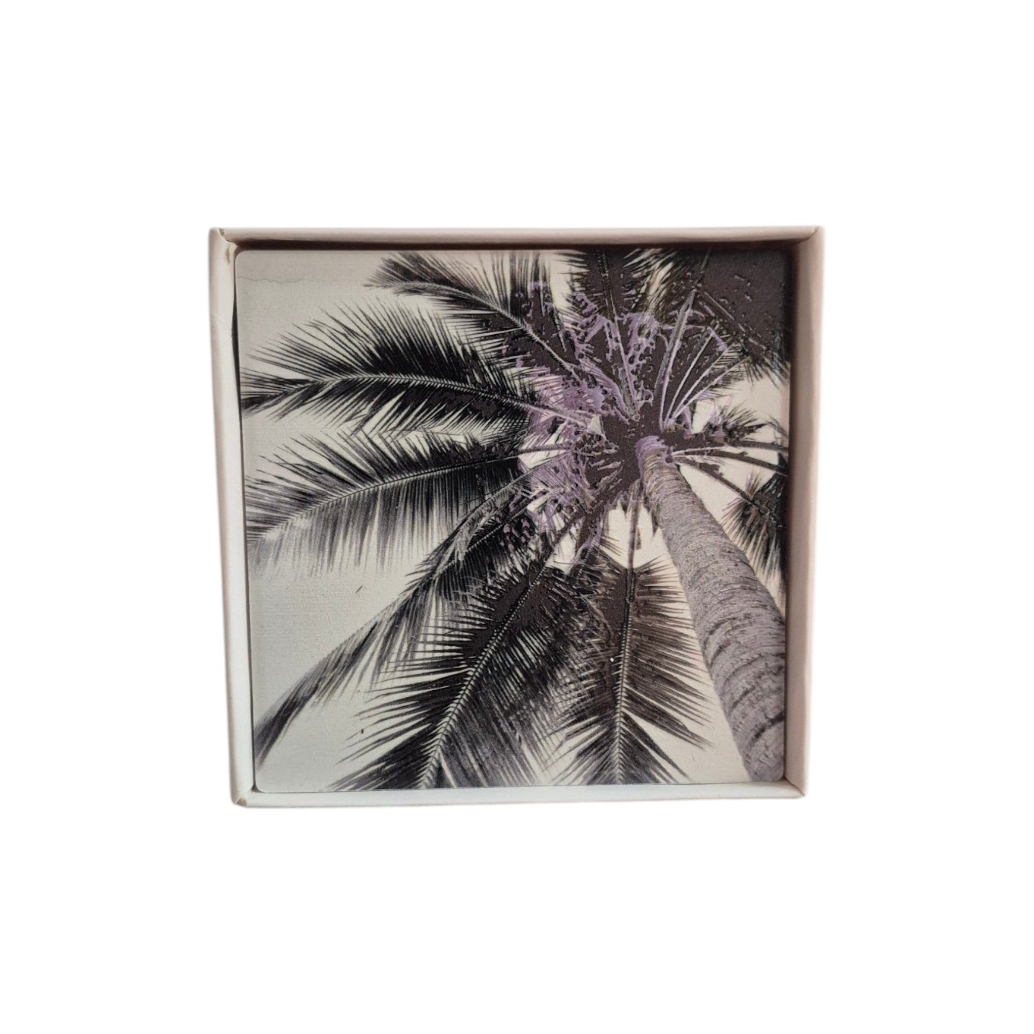 Set of four black and white palm tree coasters by Loren Boyd, featuring tropical design perfect for protecting surfaces. nz