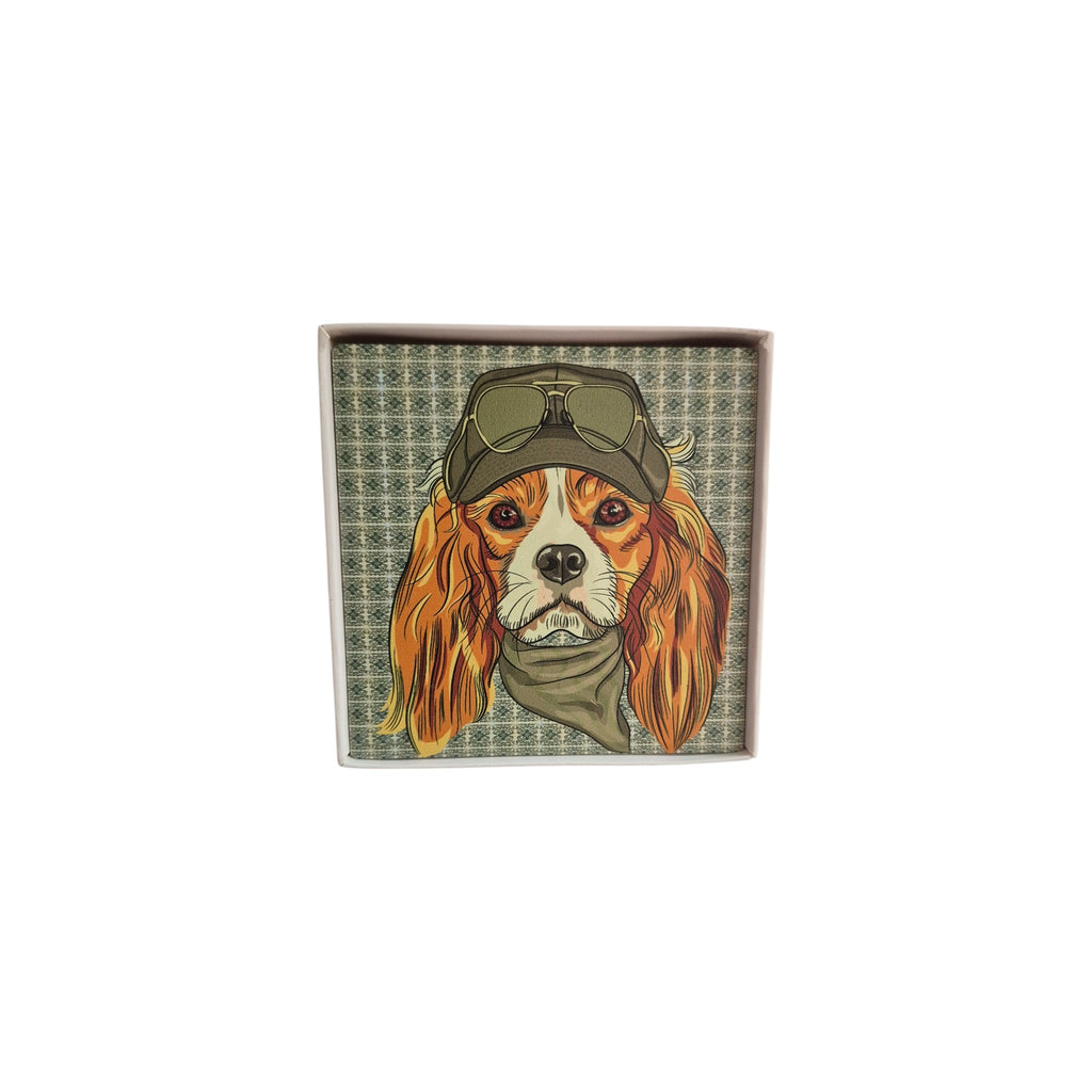 Set of four Dapper Dogs coasters by Loren Boyd featuring stylish dog-themed designs on absorbent coaster surfaces. nz