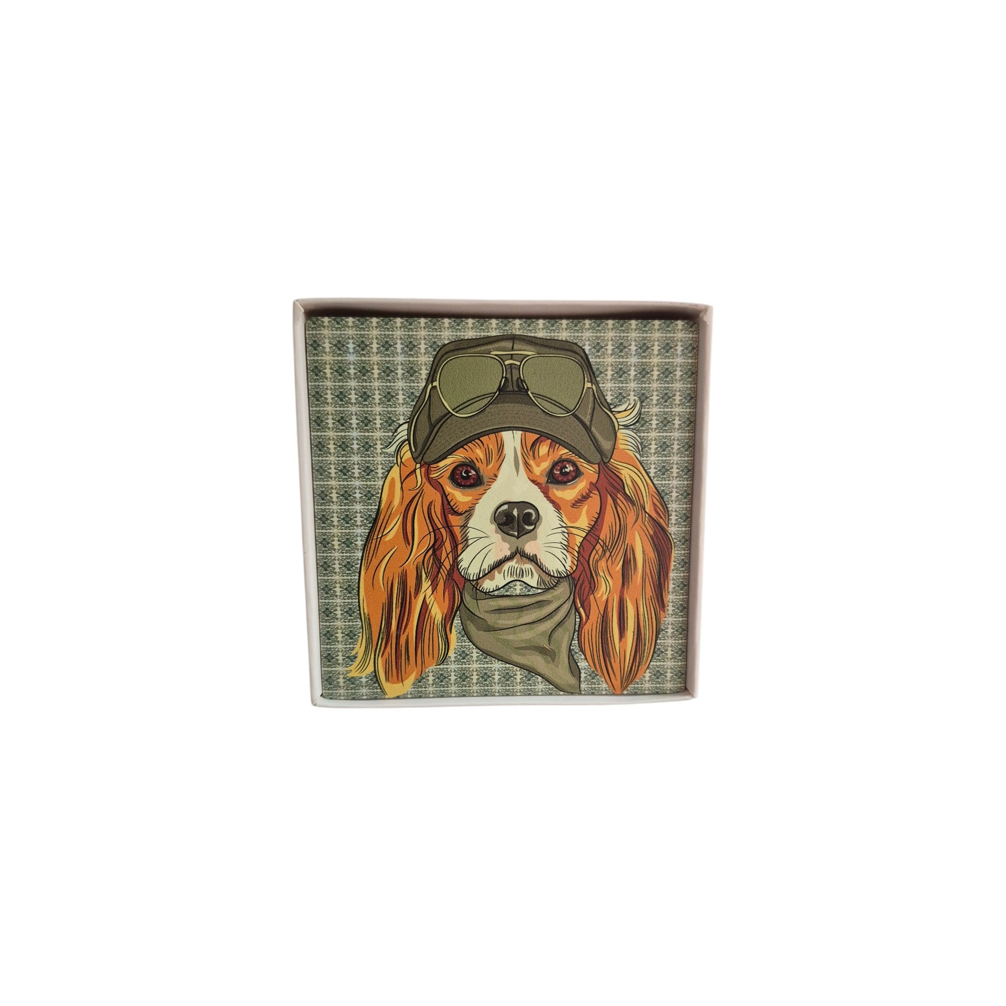 Set of four Dapper Dogs coasters by Loren Boyd featuring stylish dog-themed designs on absorbent coaster surfaces. nz