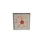 Pink & White Daisy Ceramic Coasters - 4 Pack nz