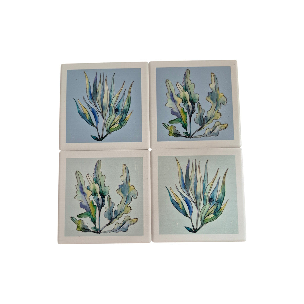 Ocean Botanicals Coasters - 4 Pack nz