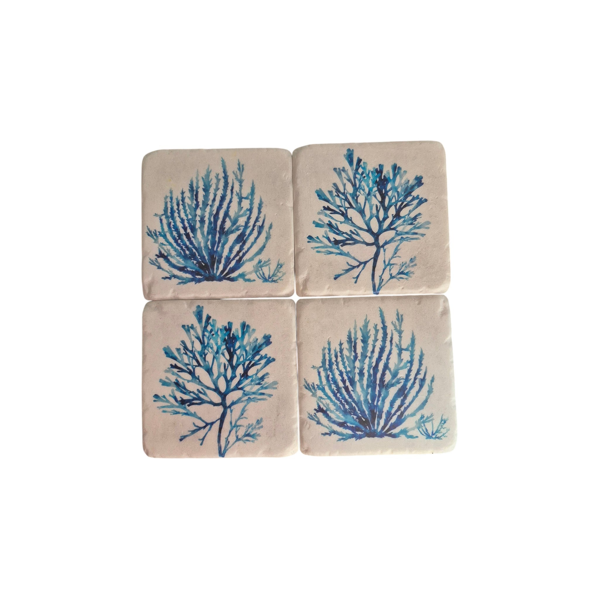 Set of four Coastal Coral Coasters by CC Interiors featuring ocean-inspired coral designs on durable coaster surfaces. nz