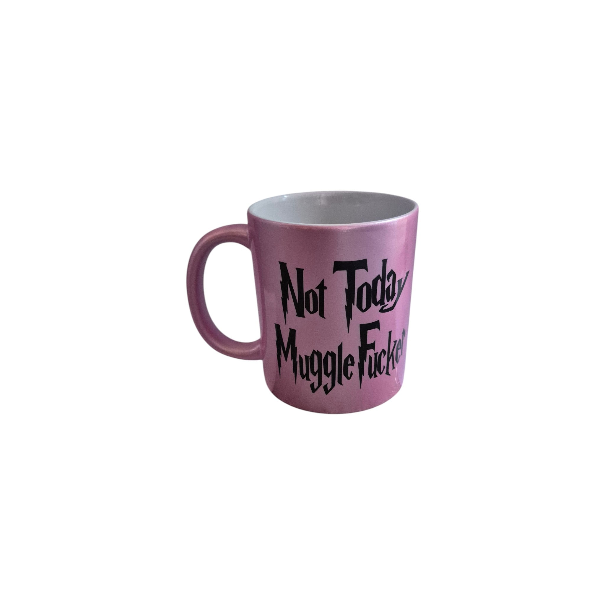 Not Today Muggle F*cker Mug nz