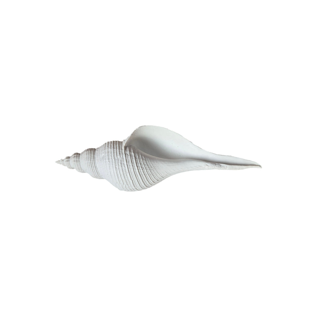 Long Spiral Conch Ornament 25cm nz