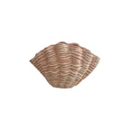 Terracotta Shell Planter Vase 23.5cm nz