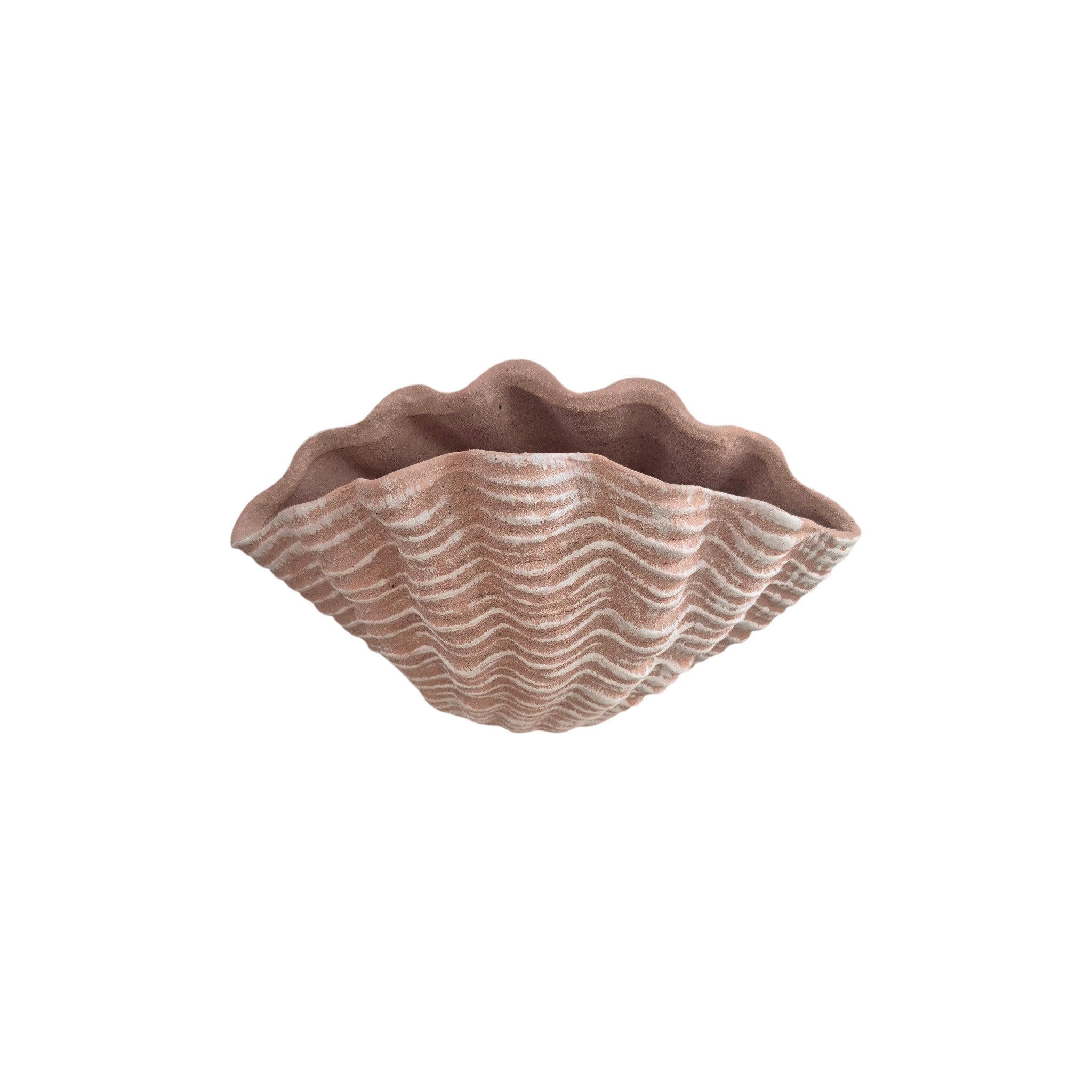 Terracotta Shell Planter Vase 23.5cm nz