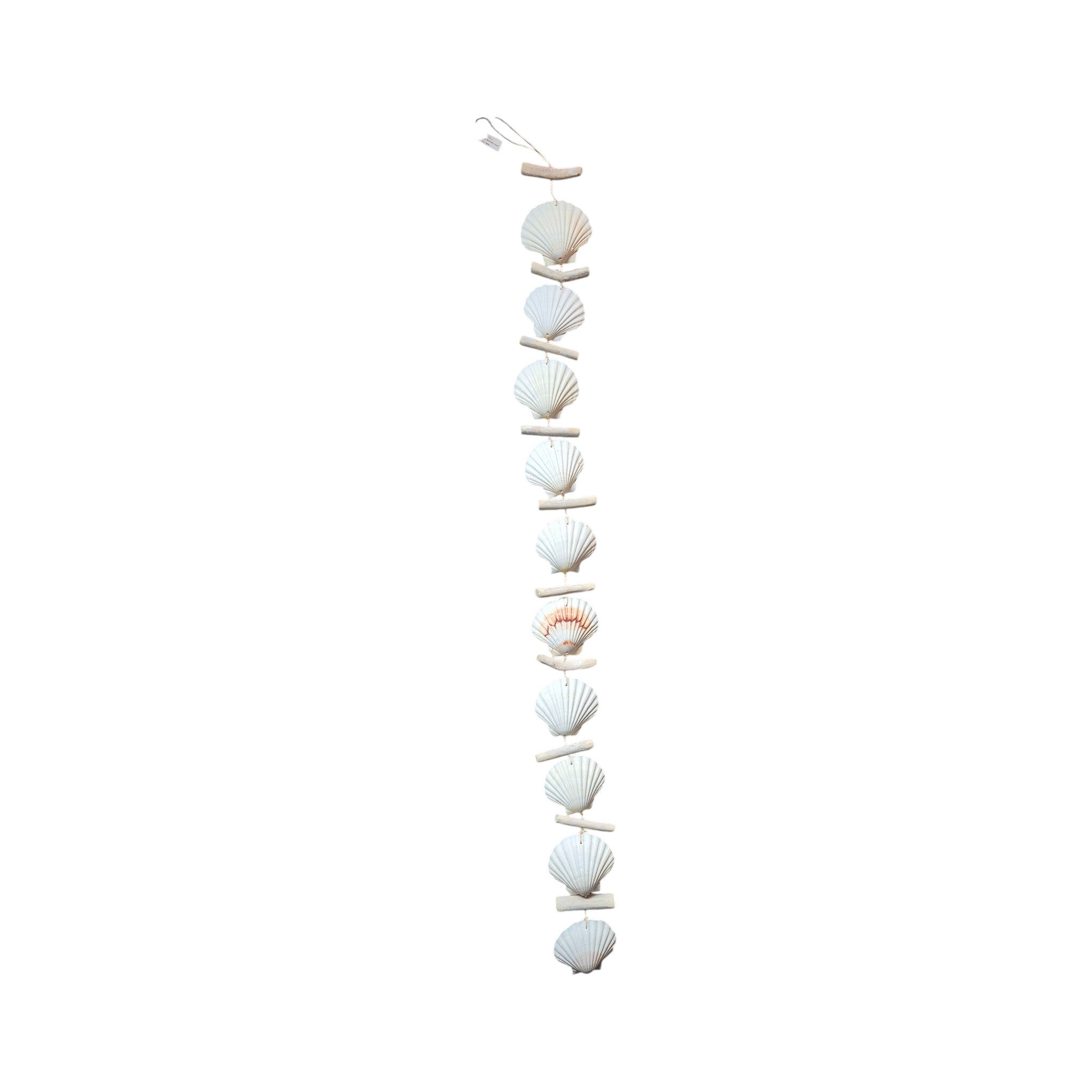 Scallop Shell Garland 1.36m nz