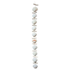Scallop Shell Garland 1.36m nz