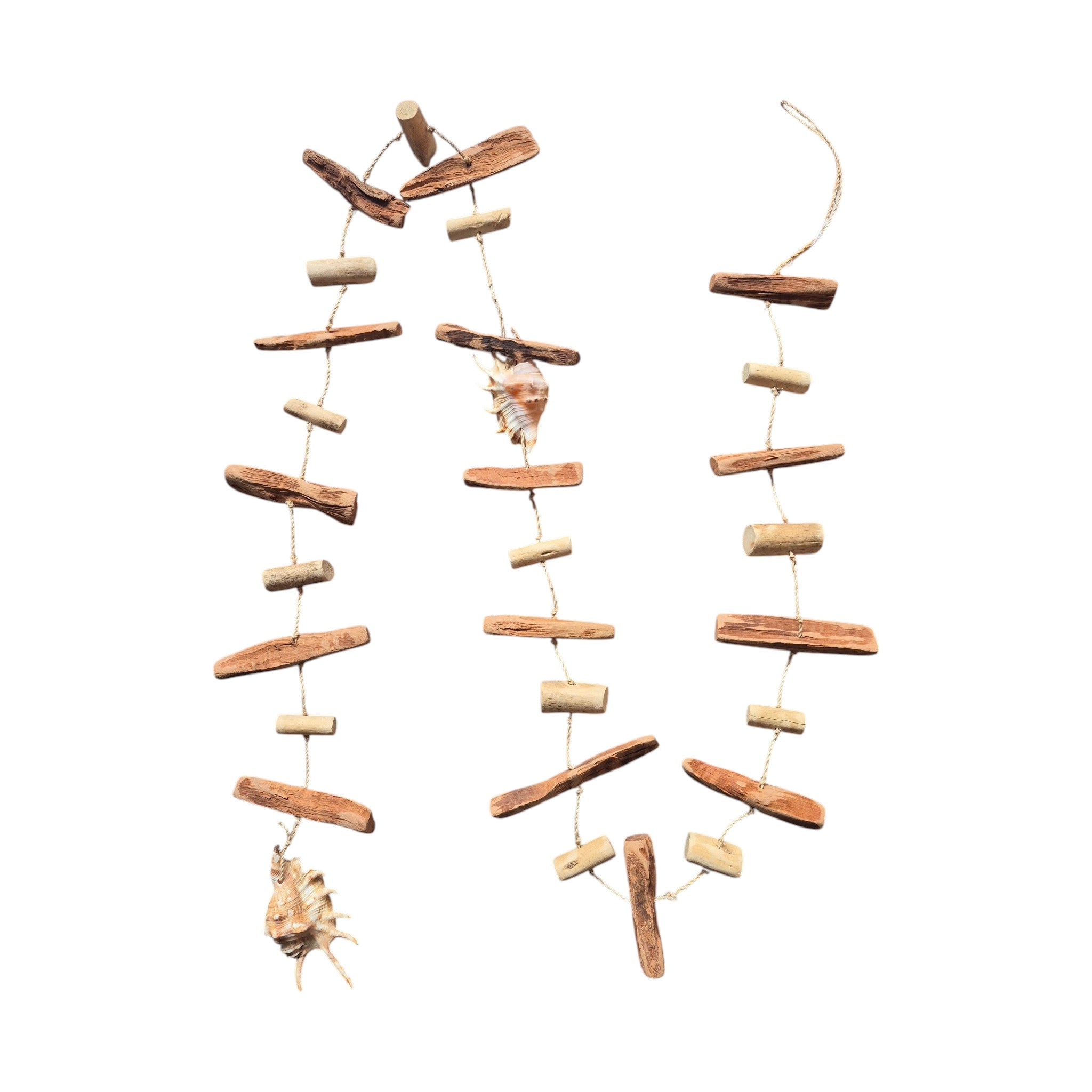 Lambis Driftwood Shell Garland 1.8m nz