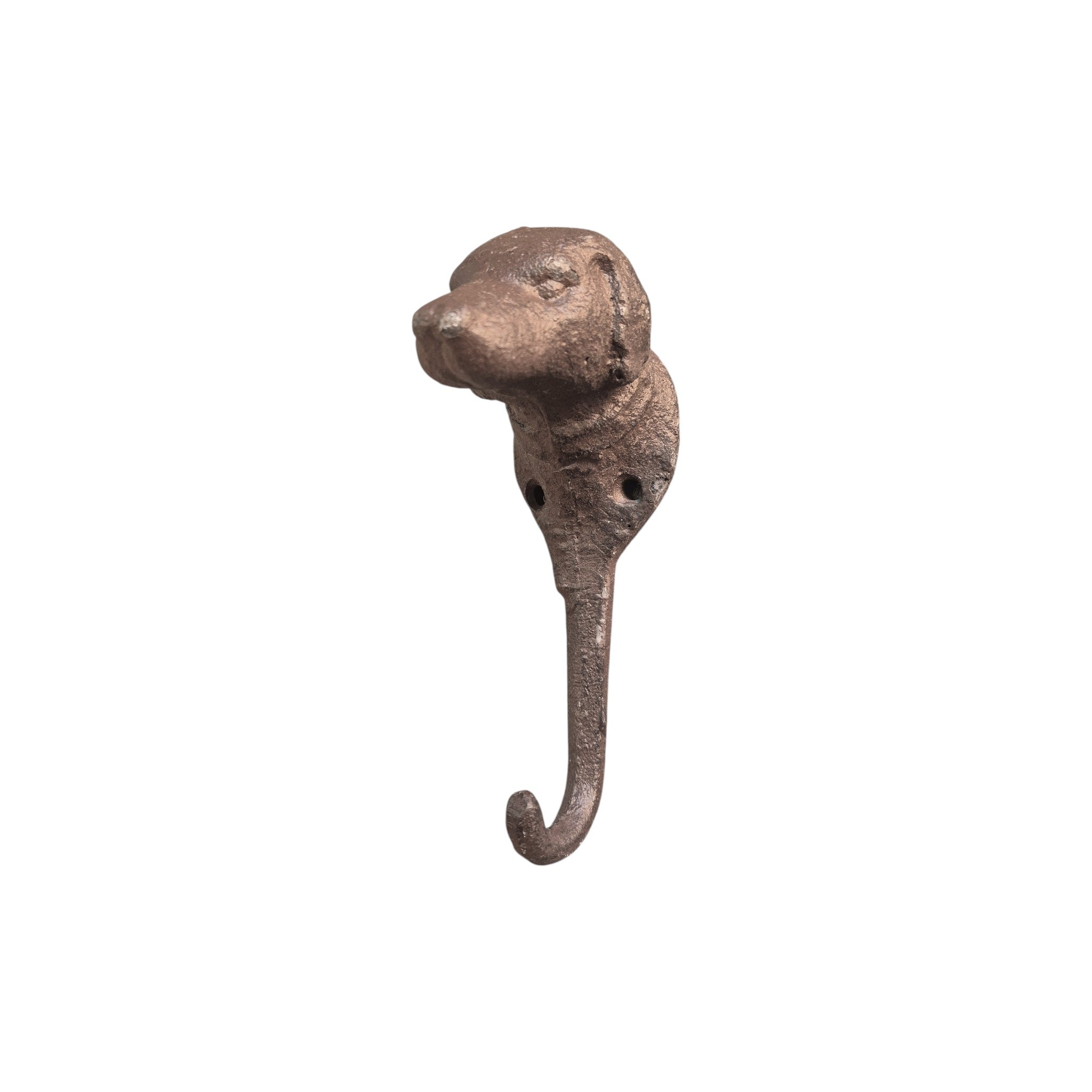 Loren Boyd cast iron dog head wall hook mounted on a wall, functional and decorative wall hook for pet accessories or keys.